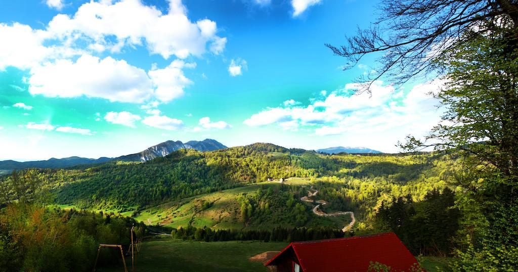 Hotel Piatra Craiului Predeal Exterior foto